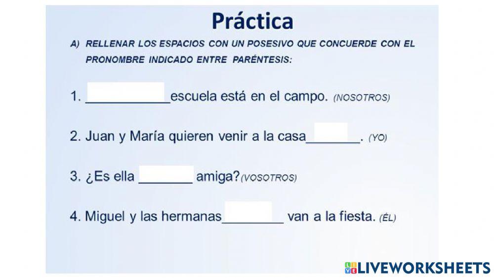 Pronombres posesivos