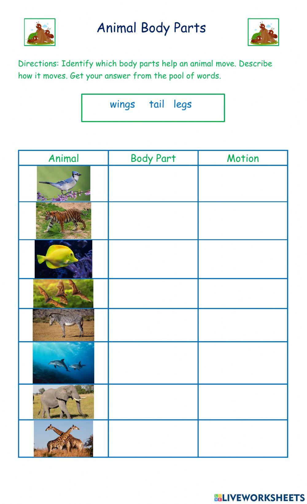 Animal Body Parts Ant Group