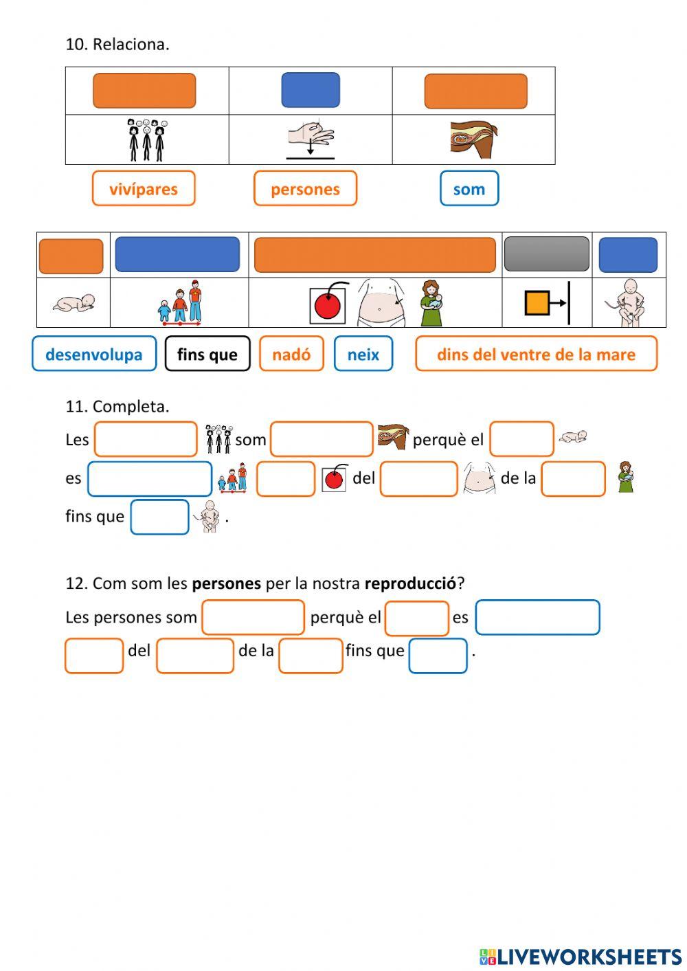 Les funcions vitals - La reproducció (1)