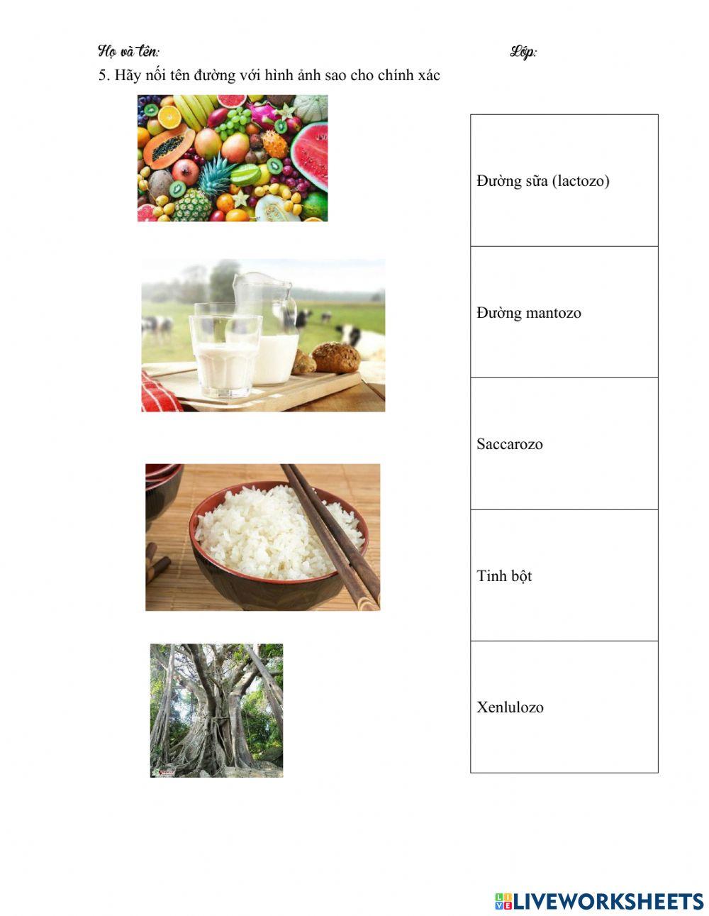 Bài 4 - cacbohidrat và lipit