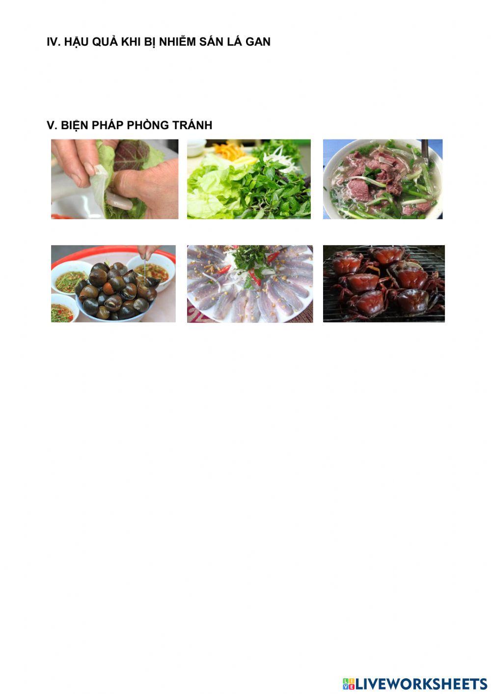 Bài 11. sinh 7. sán lá gan