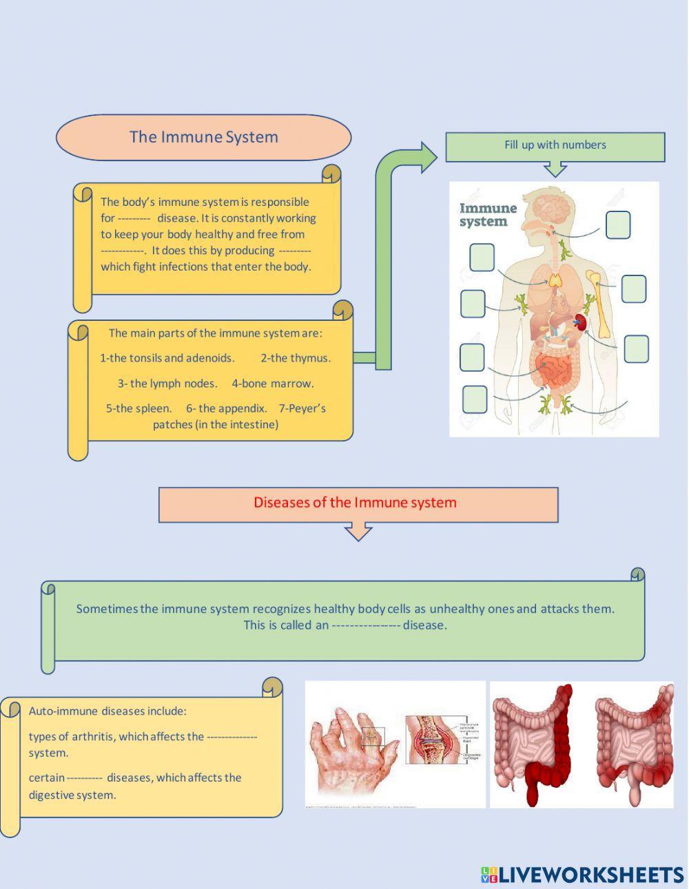 Diseases of the immune system