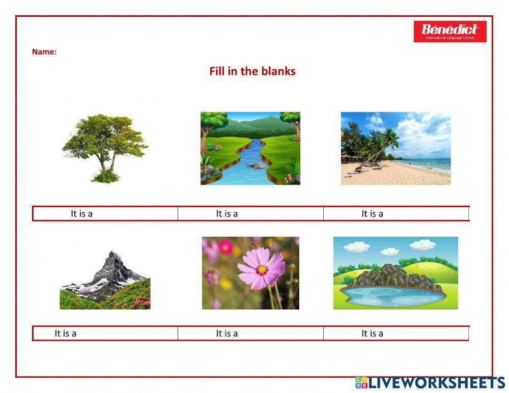 Kids 1 - Unit 8: Vocabulary