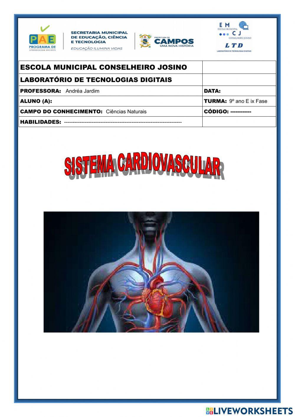 Sistema cardiovascular