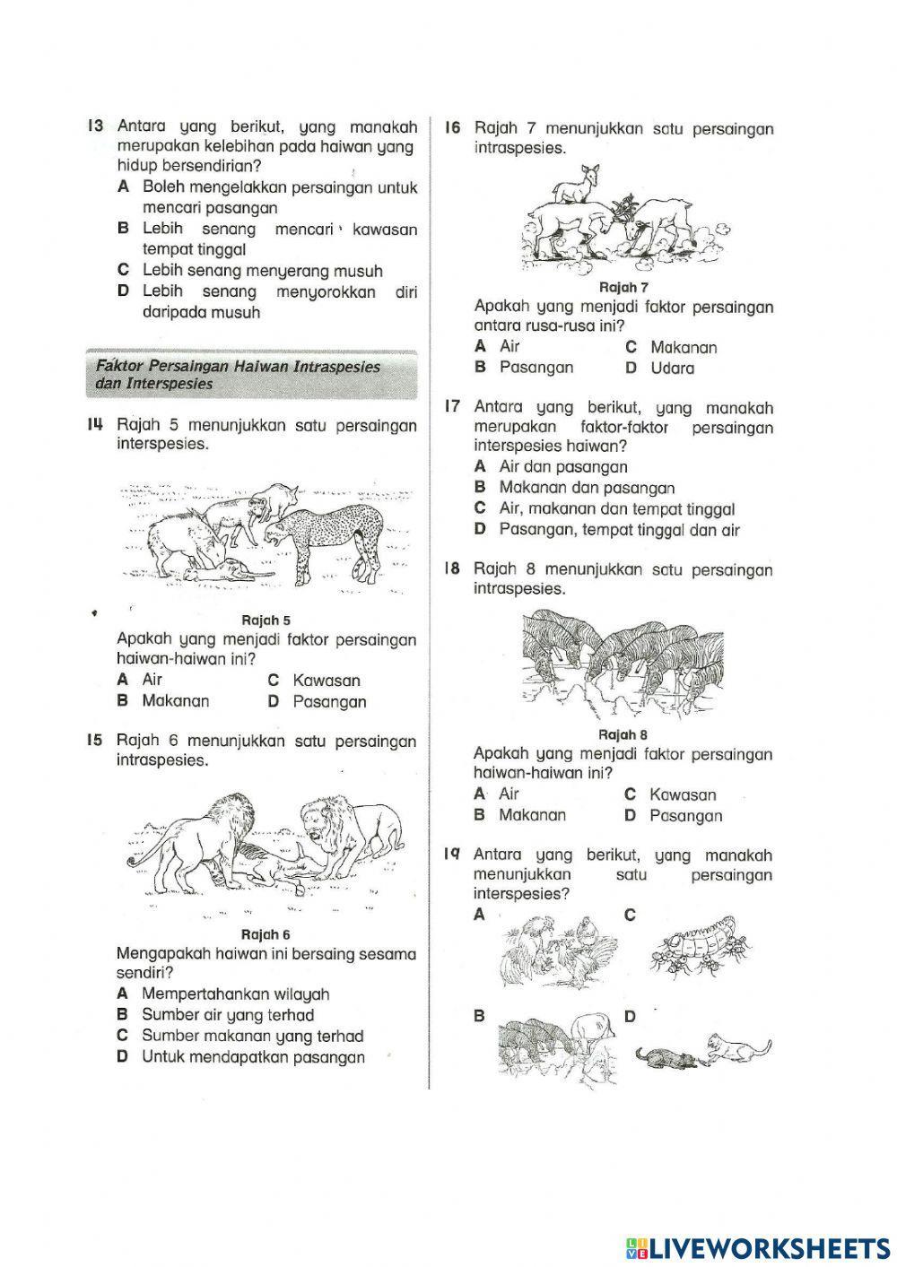 Sains tahun 6 interaksi antara hidupan 1
