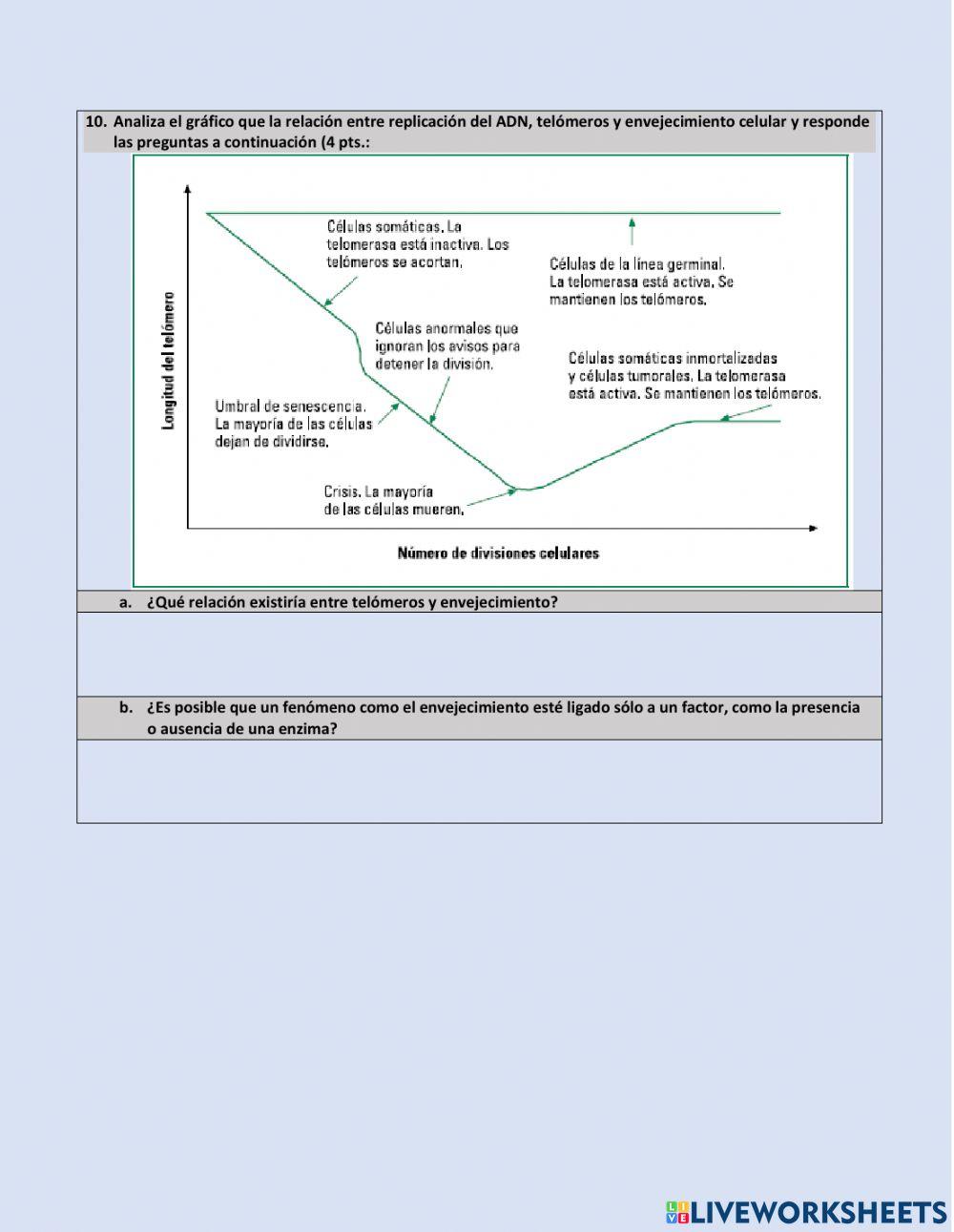 Transcripción y traducción del ADN