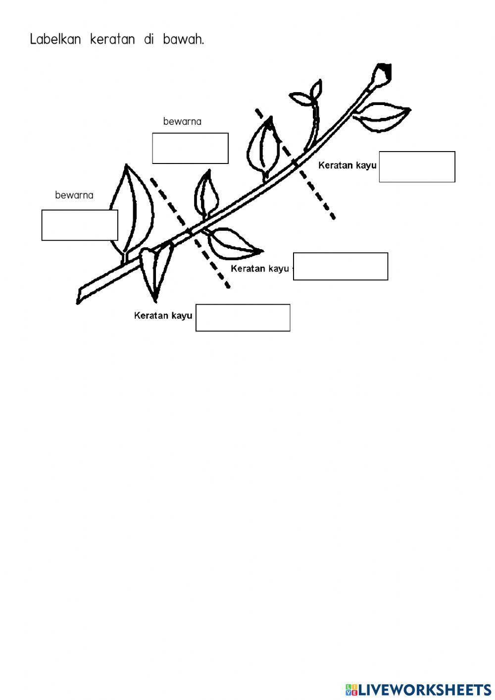 Membersihkan Tempat Kerja dan Jenis Keratan