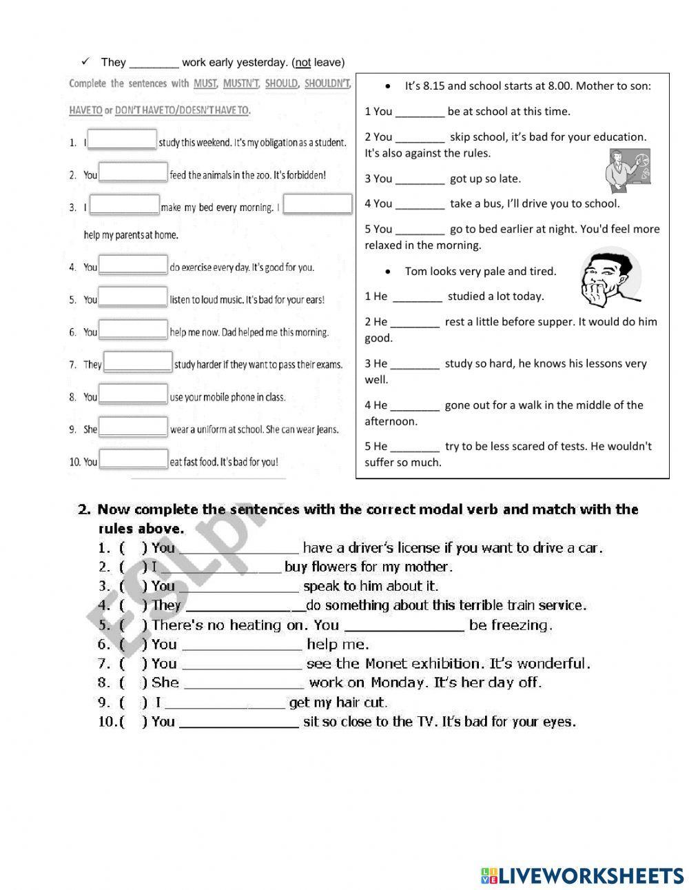 Should - must - have to