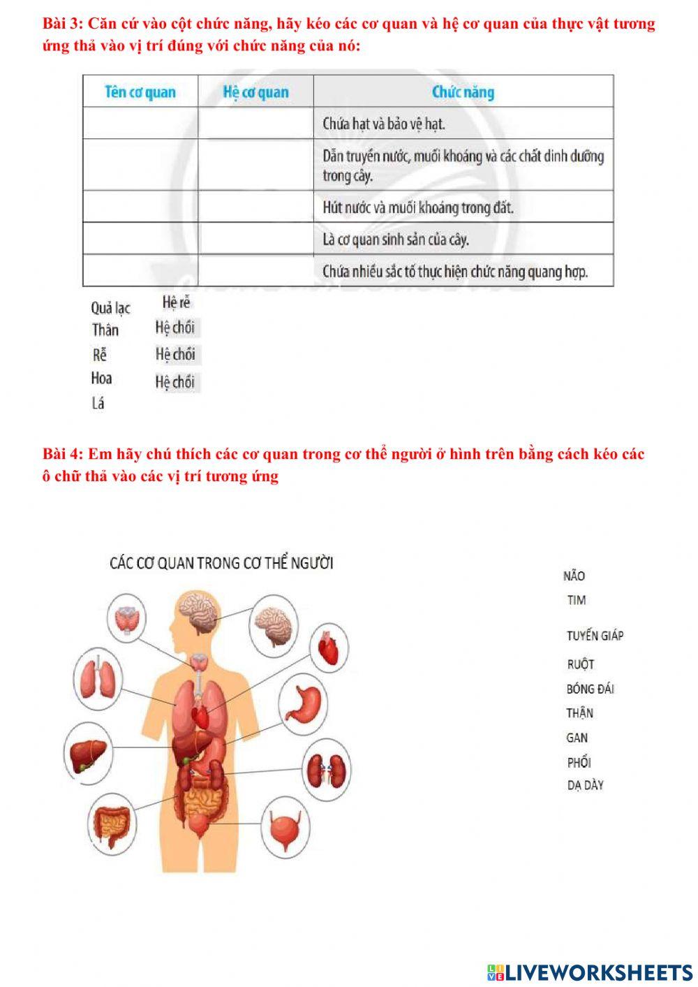 Ôn tập chủ đề 7