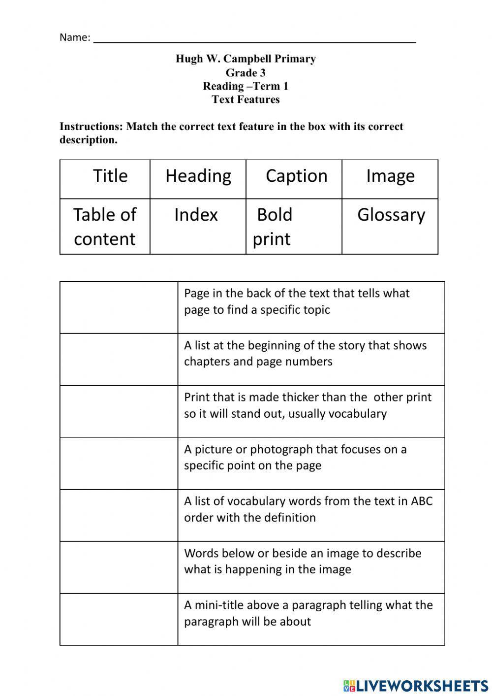 Text Features Review