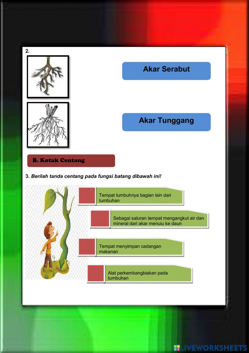 Lkpd tema 3 sub tema 1 pb 3