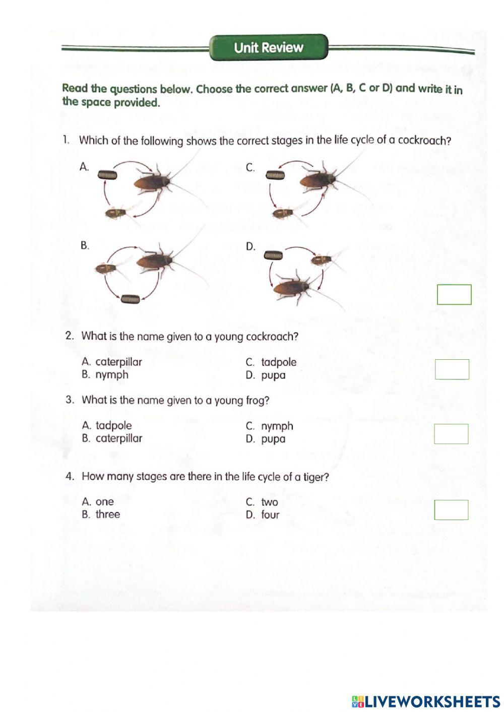 Lifecycles Unit Review