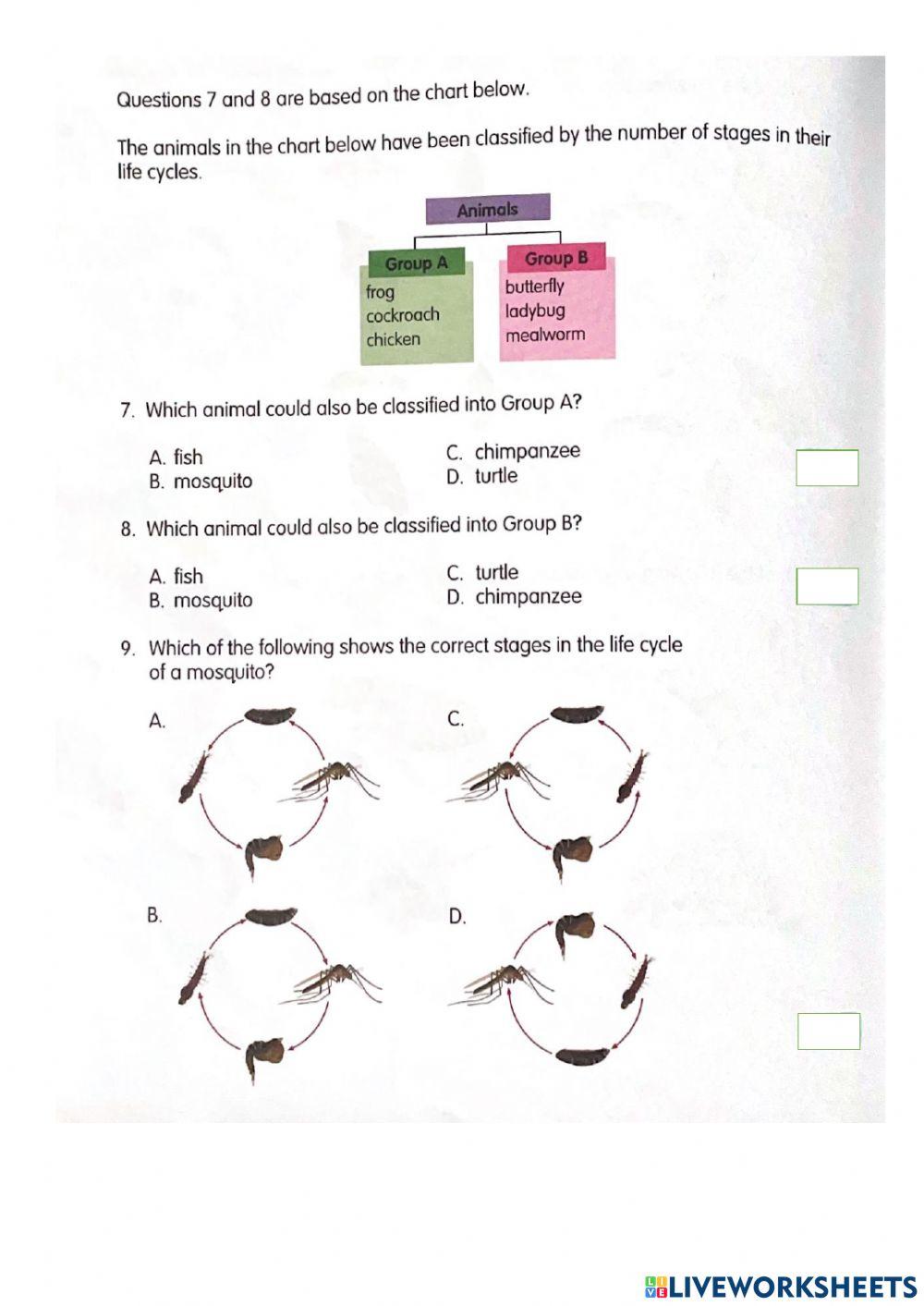 Lifecycles Unit Review
