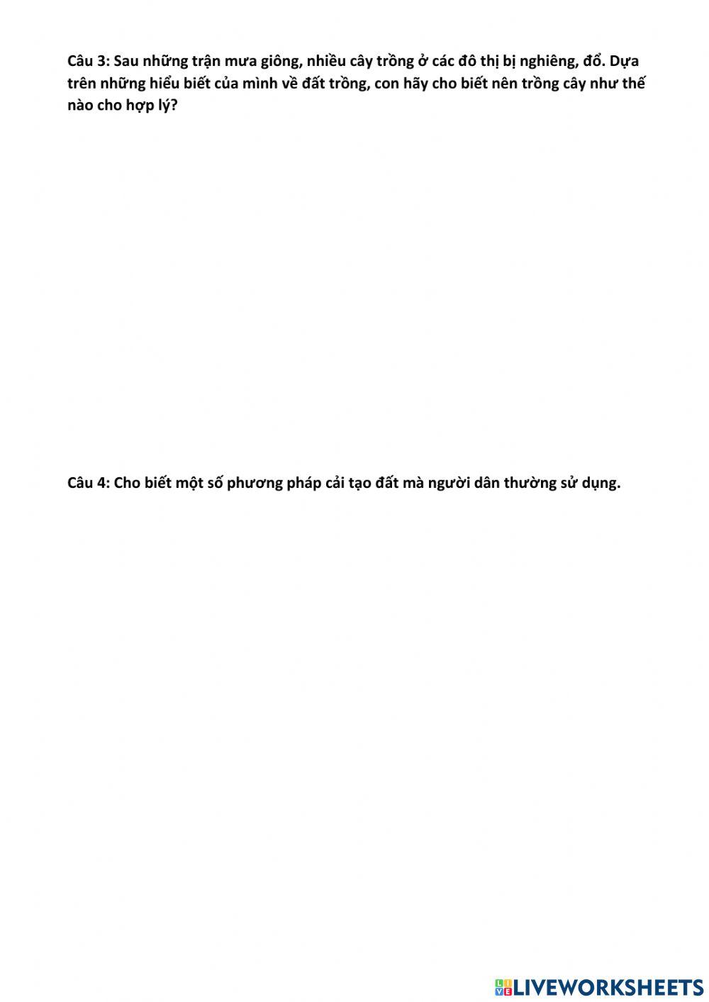 Bài kiểm tra giữa kì 1-cn10