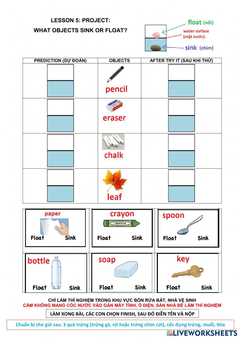 Lesson 5. what objects SINK OR FLOAT?