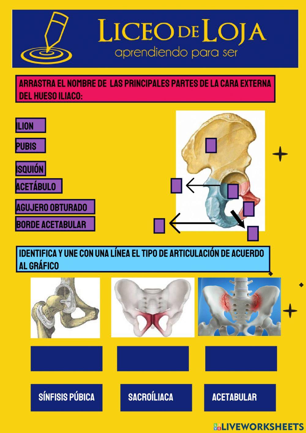 Extremidades inferiores