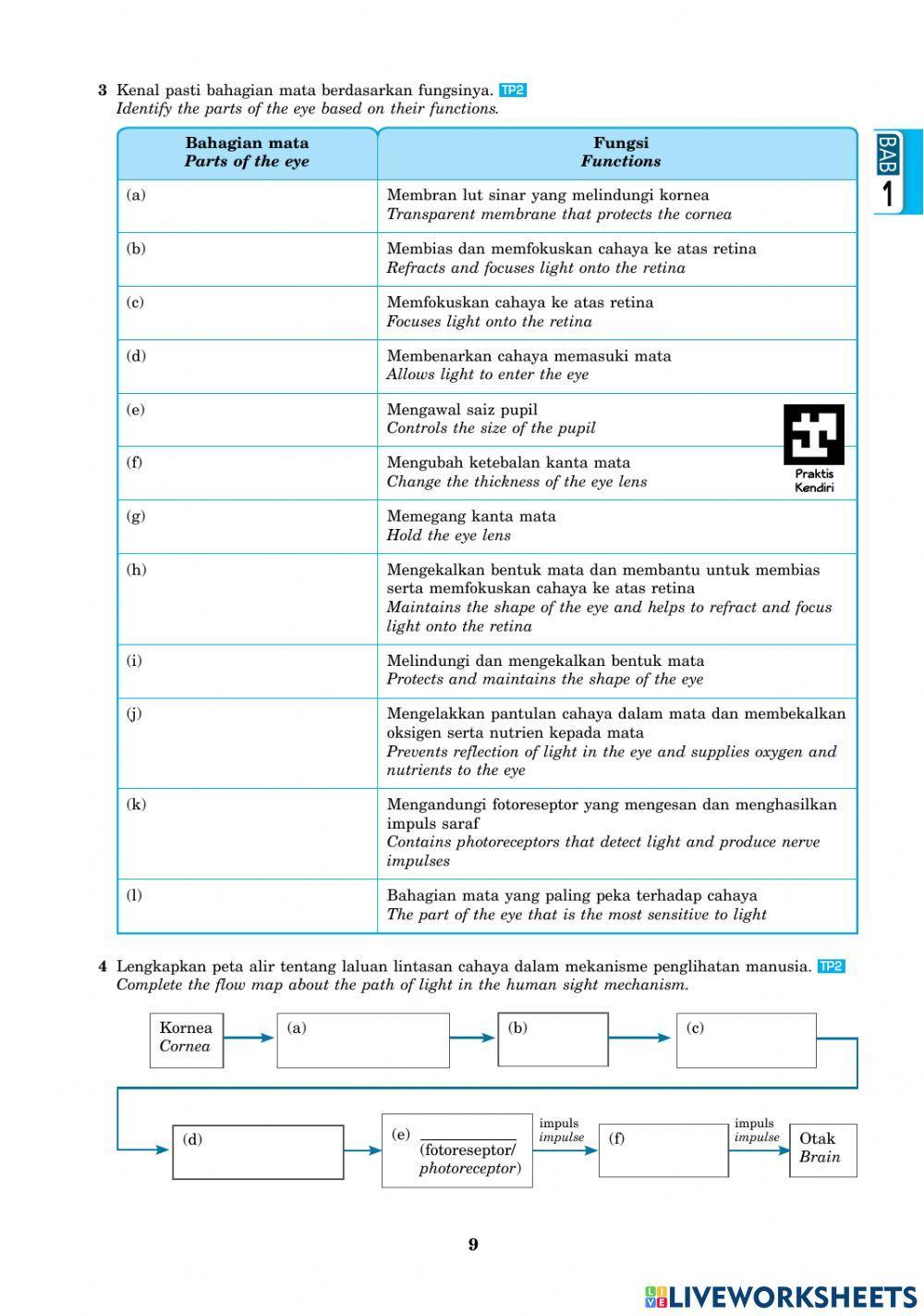 Bab 1 T3 Struktur Mata