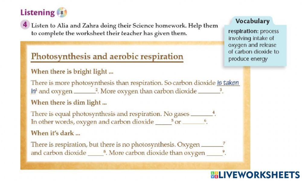 Photosynthesis