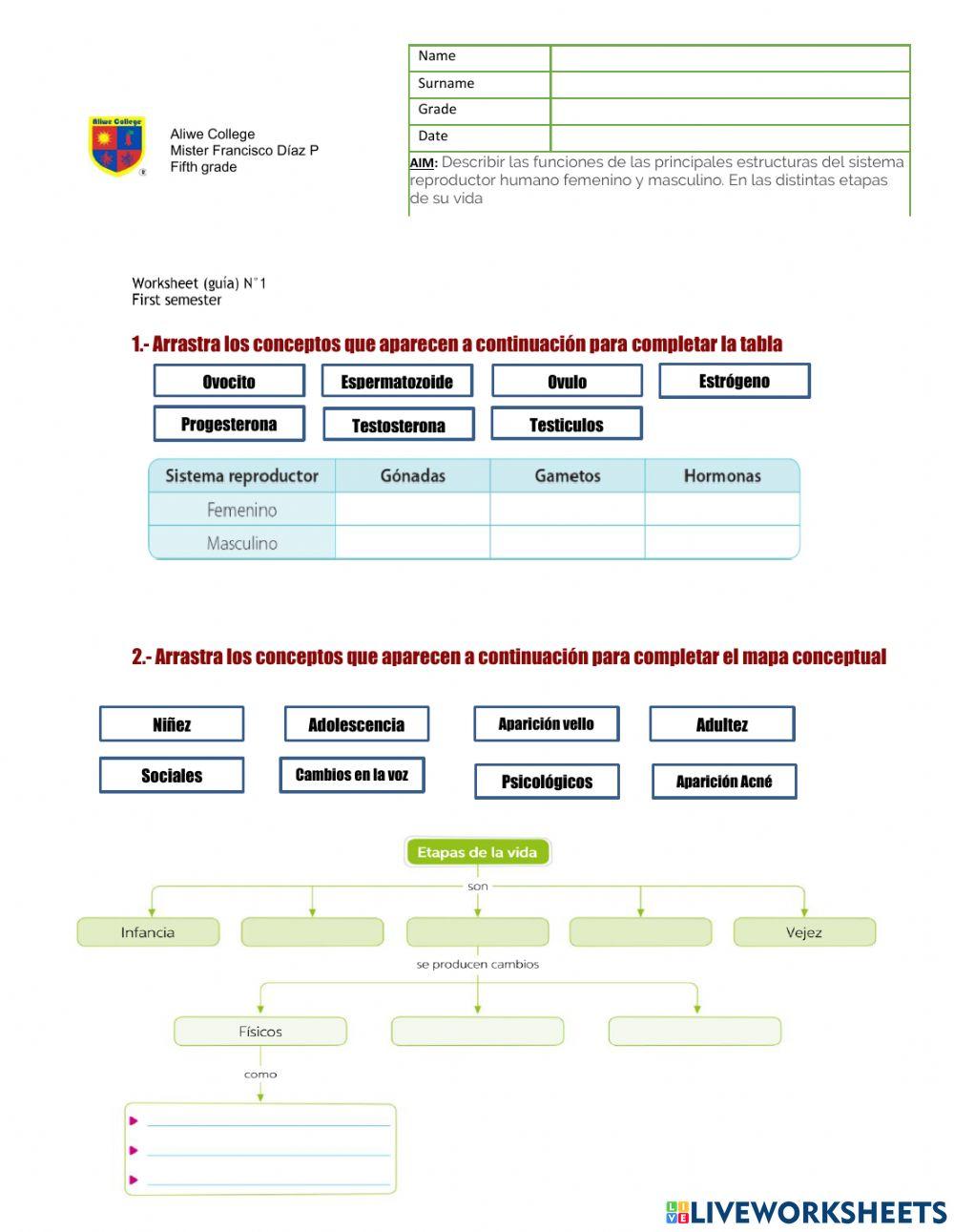 6to Sexualidad y Aparato reproductor