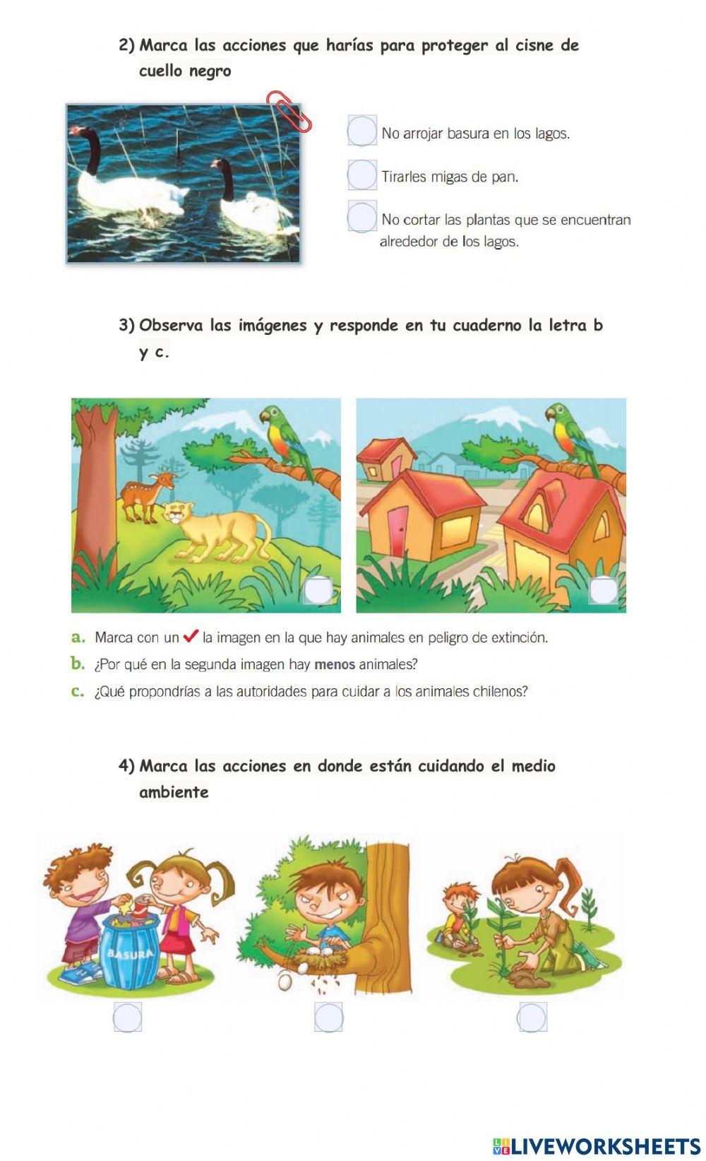 Cuidado de los animales