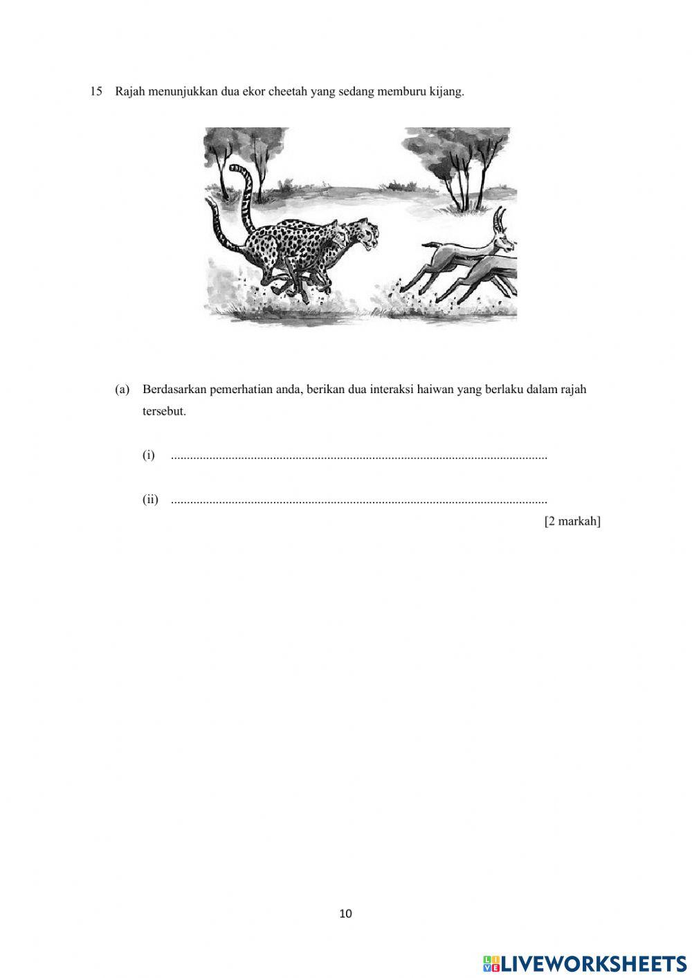 Ujian sains tingkatan 2 2021 bahagian c