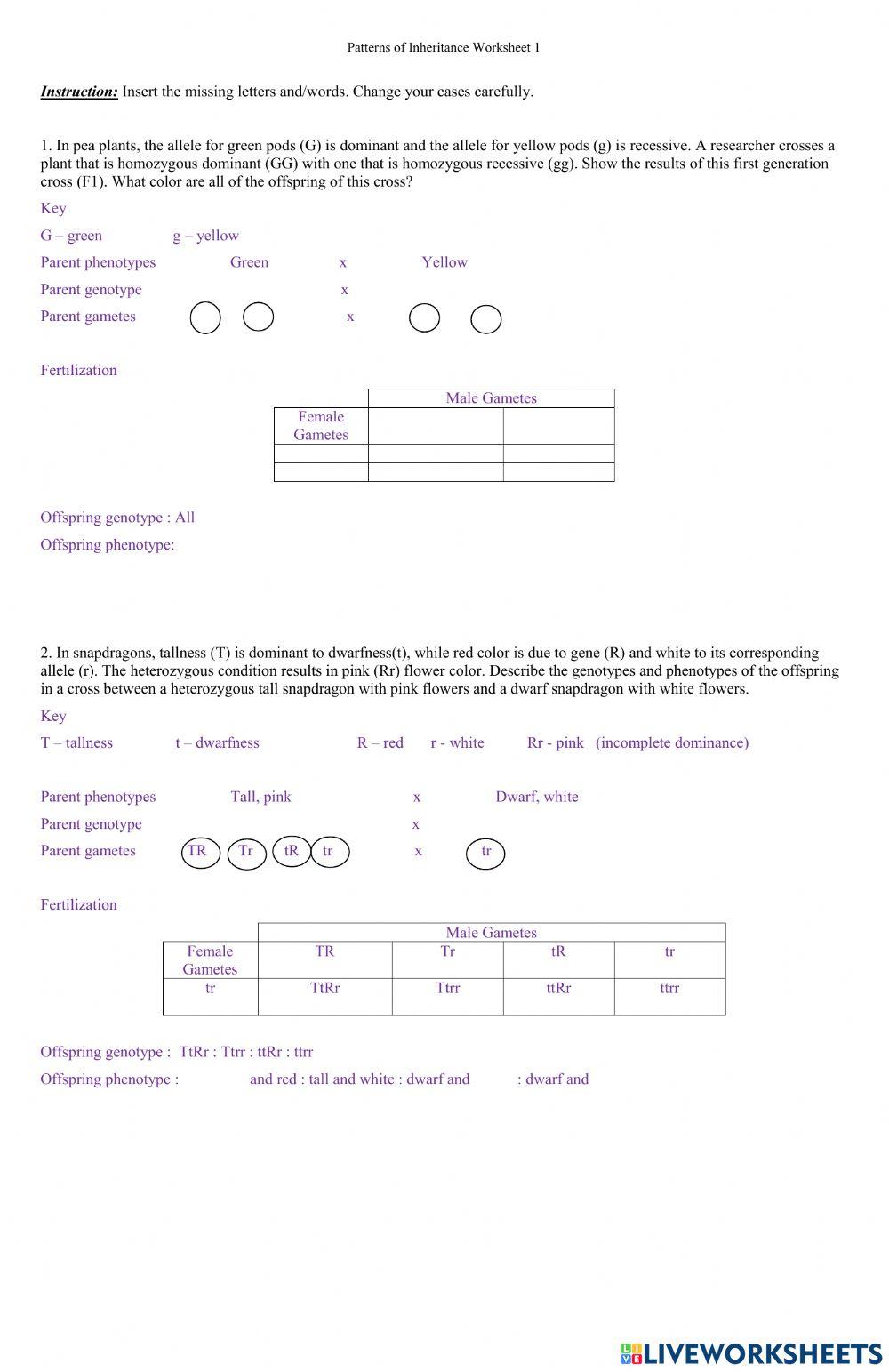Patterns of Inheritance Worksheet 1 online exercise for | Live Worksheets