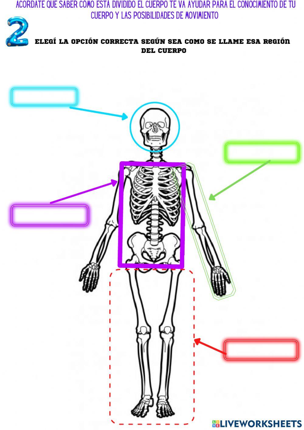 Mi cuerpo y el movimiento