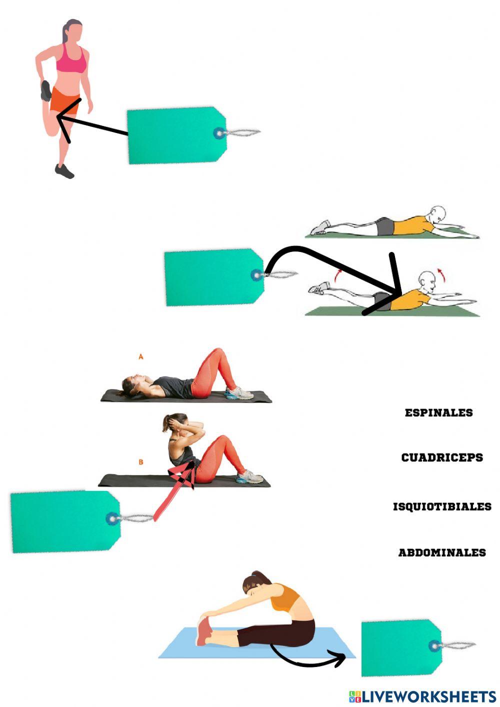 Mi cuerpo y el movimiento