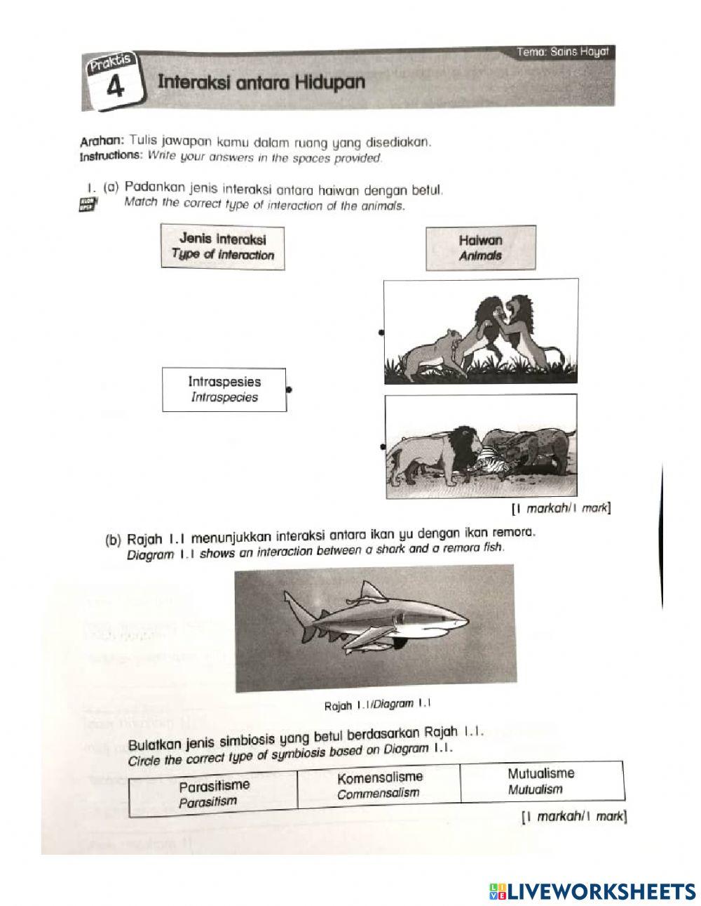 Interaction among animal science year 6