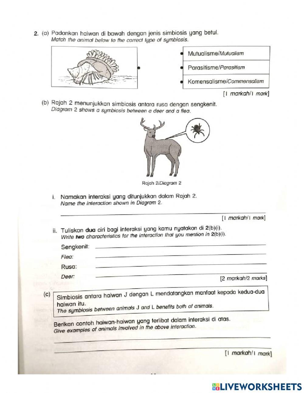 1488330 interaction among animal science year 6