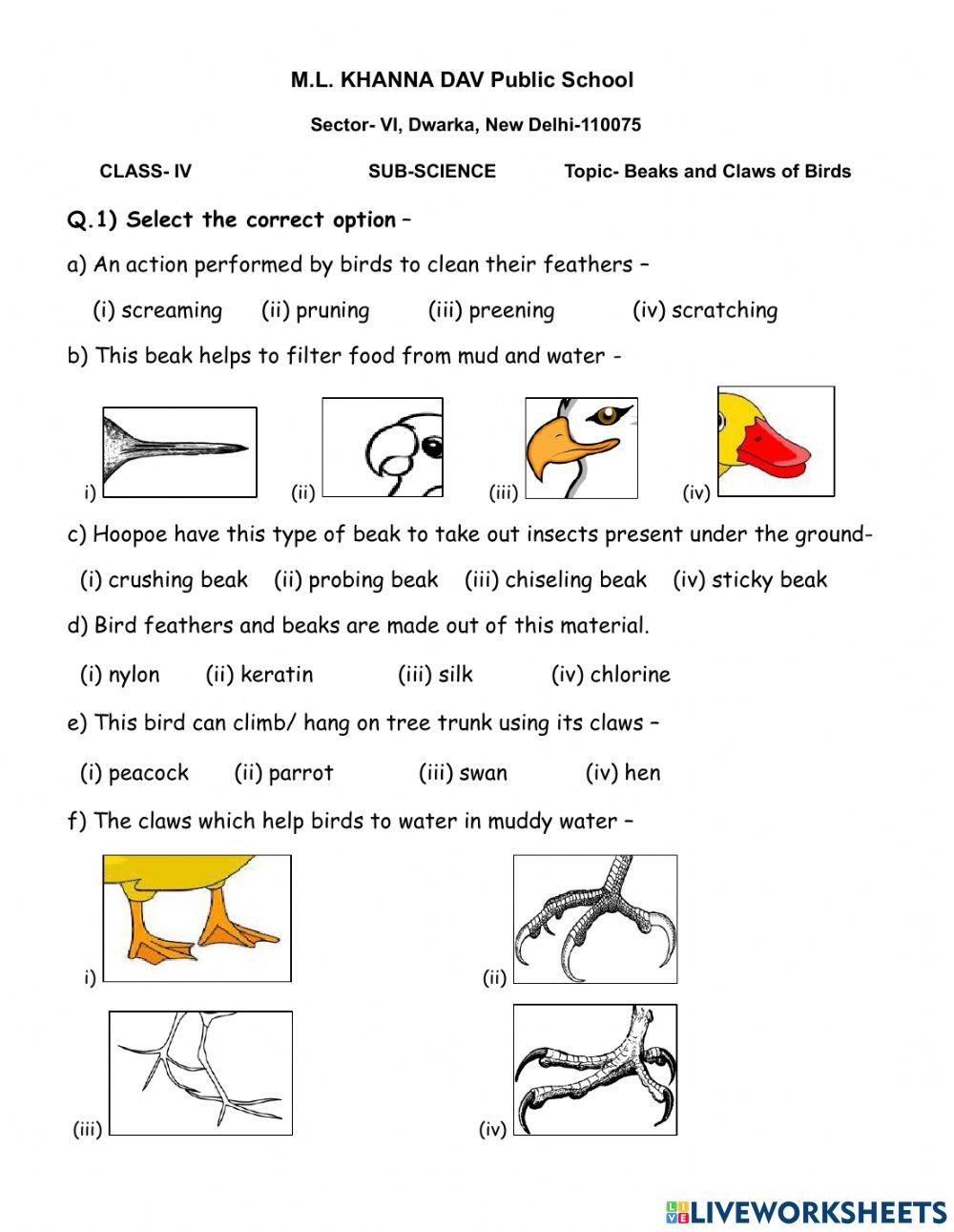 Beaks and Claws of Birds worksheet Live Worksheets