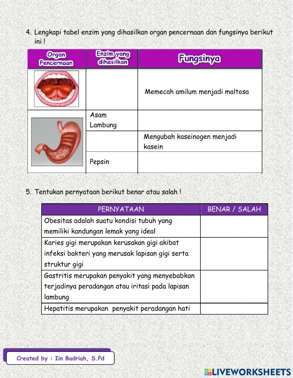 LKPD Organ Pencernaan Manusia
