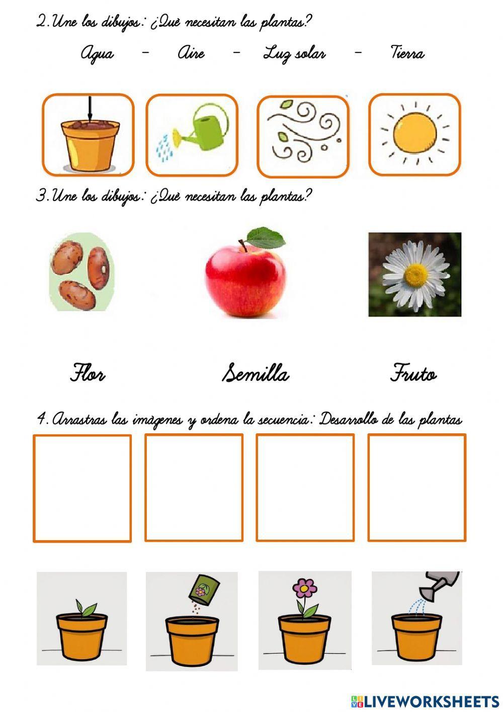 Examen bimestral  de ciencia