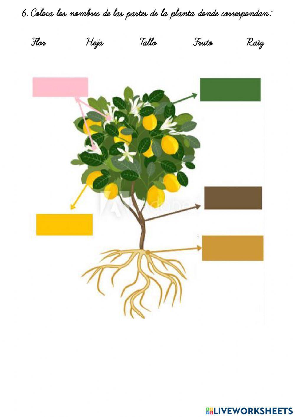 Examen bimestral  de ciencia