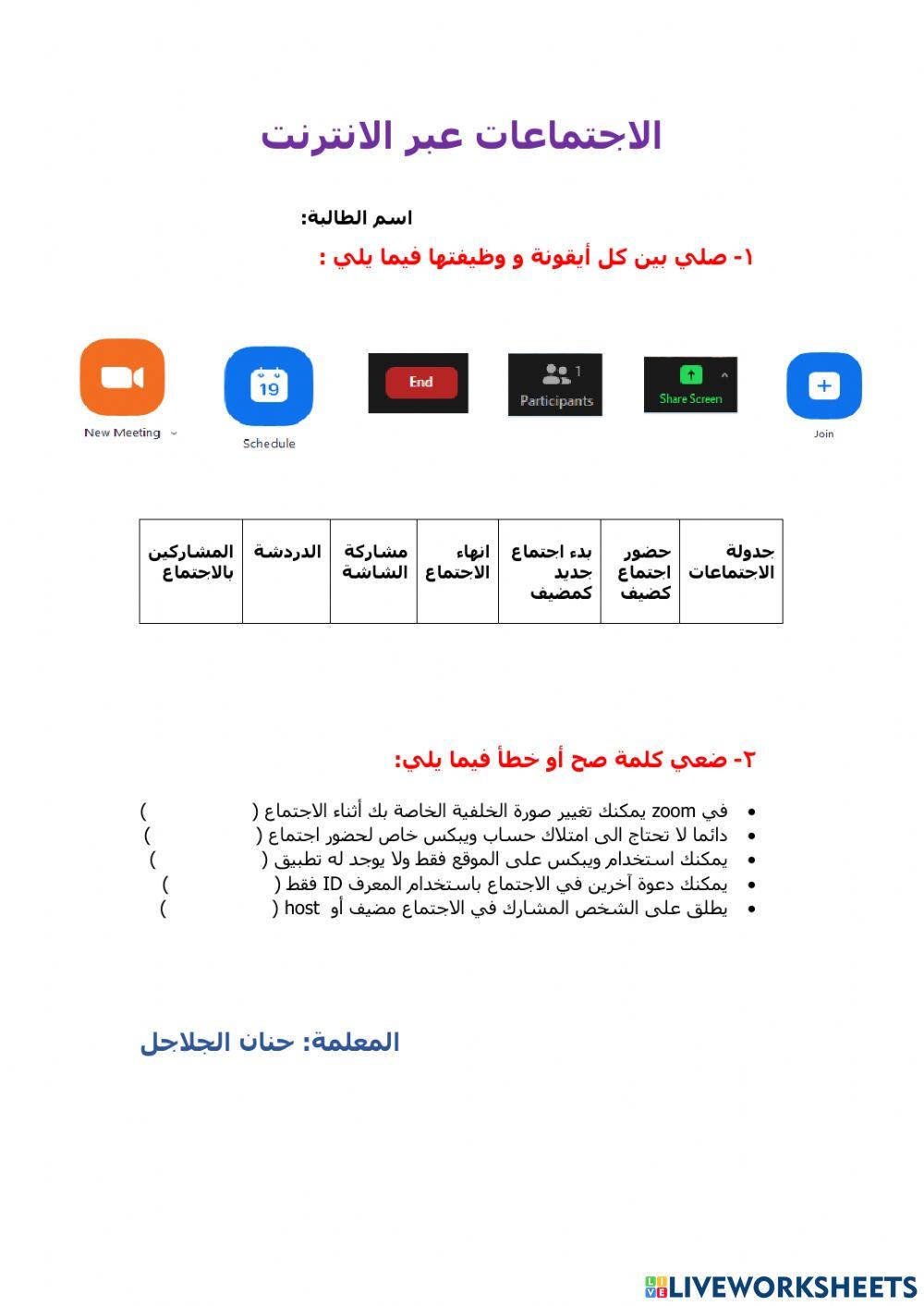 الاجتماعات عبر الانترنت