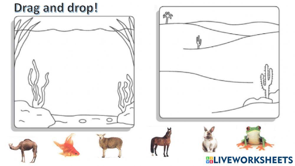 connect plus kg1 term1 unit3 p42