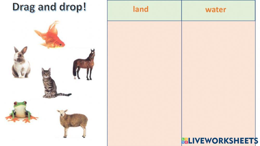 connect plus kg1 term1 unit3 p42