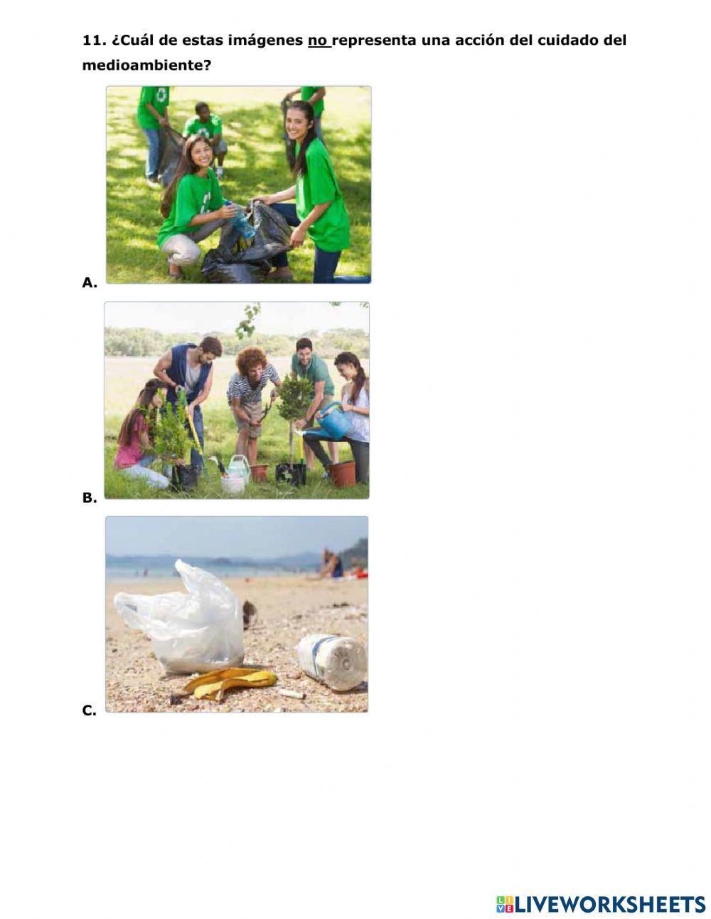 Prueba flora y fauna de Chile