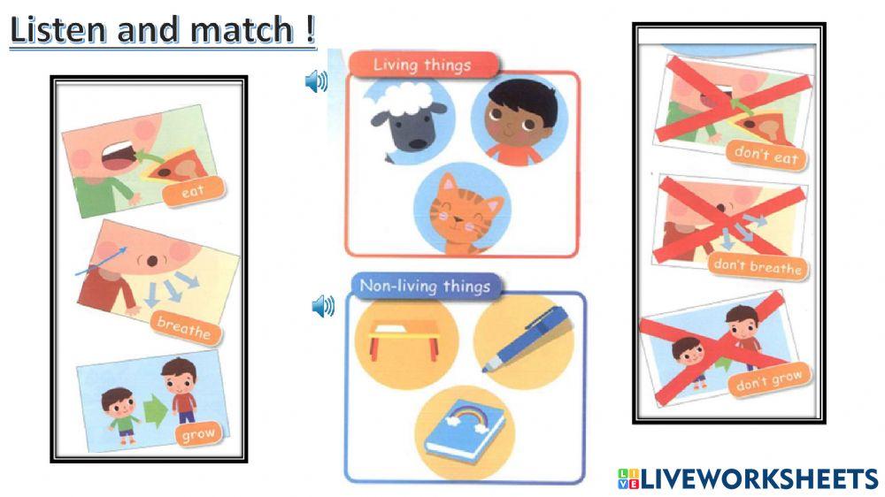 connect plus kg1 term1 unit3 p44