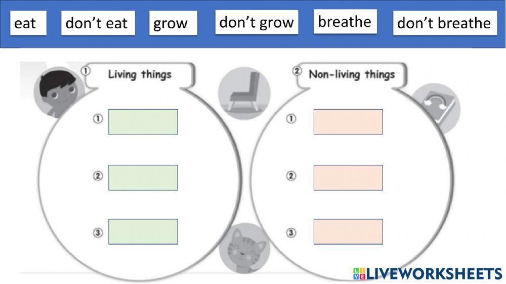 connect plus kg1 term1 unit3 p44