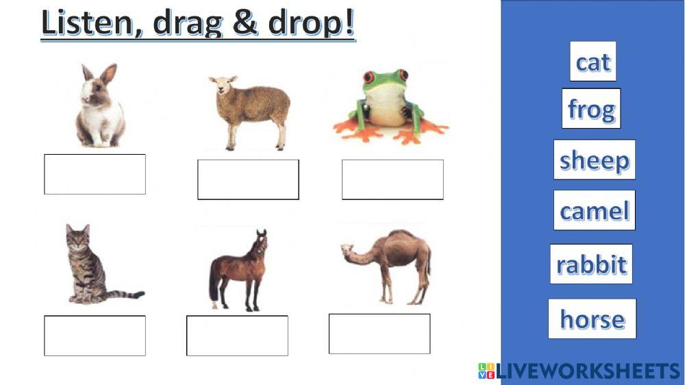 connect plus kg1 term1 unit3 p40