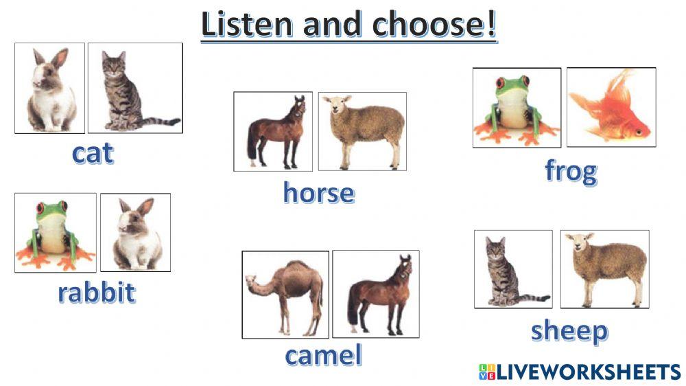 connect plus kg1 term1 unit3 p40