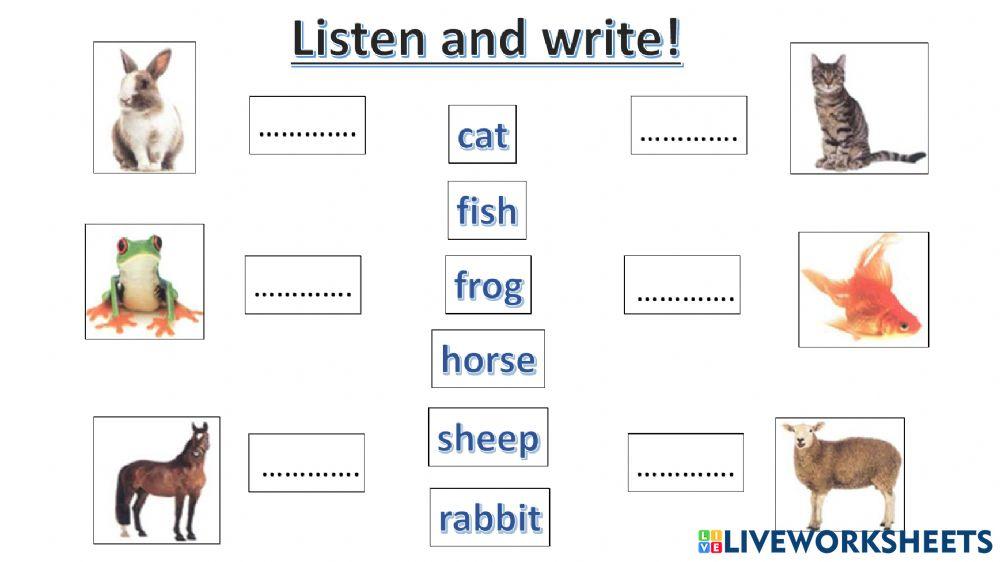 connect plus kg1 term1 unit3 p40