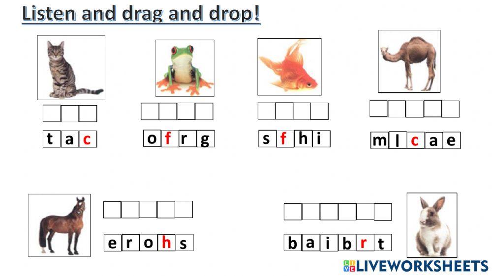 connect plus kg1 term1 unit3 p40