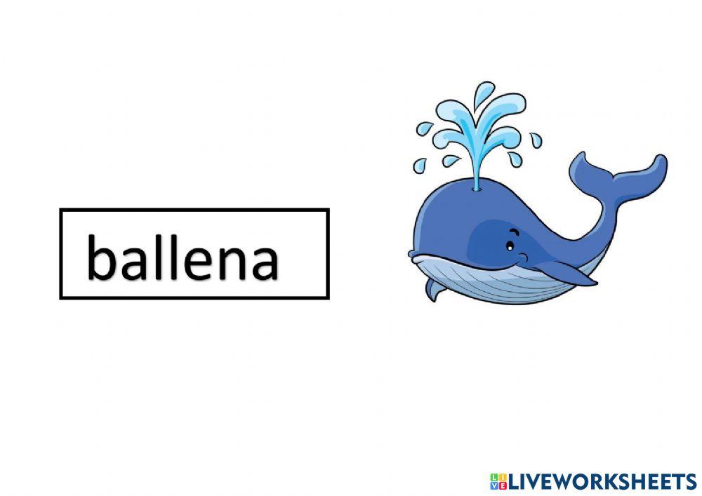 Vocabulario en señas LSE Bb