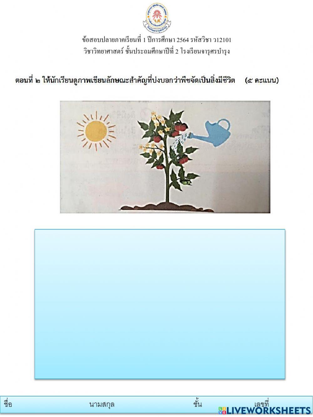 ข้อสอบปลายภาคเรียนที่1 วิทยาศาสตร์ ป2