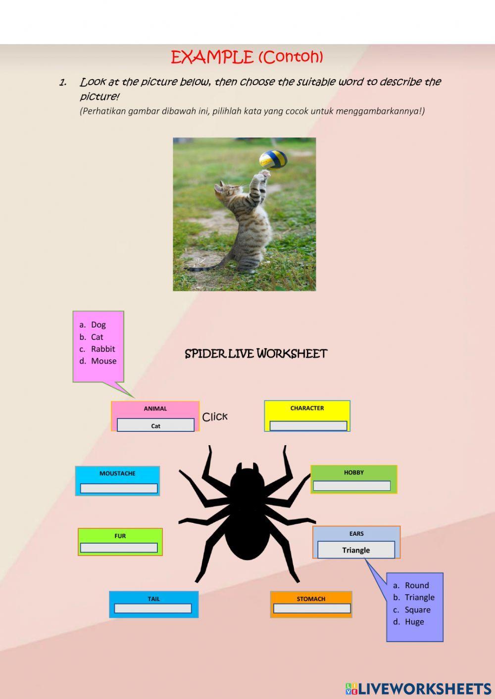 Writing Descriptive Text by Using Spider Live Worksheet