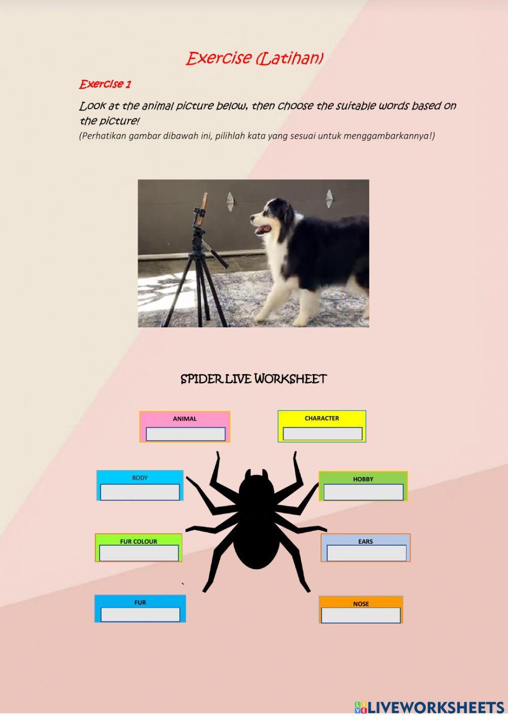 Writing Descriptive Text by Using Spider Live Worksheet