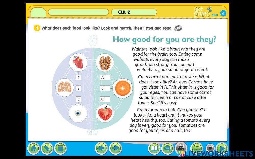 English year 4 clil 2 ex. 1