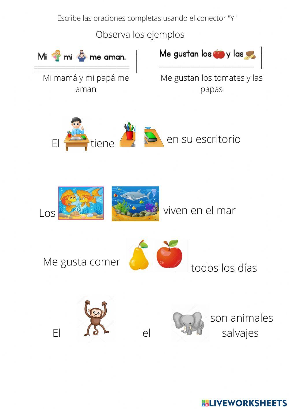 Los conectores Los conectores
